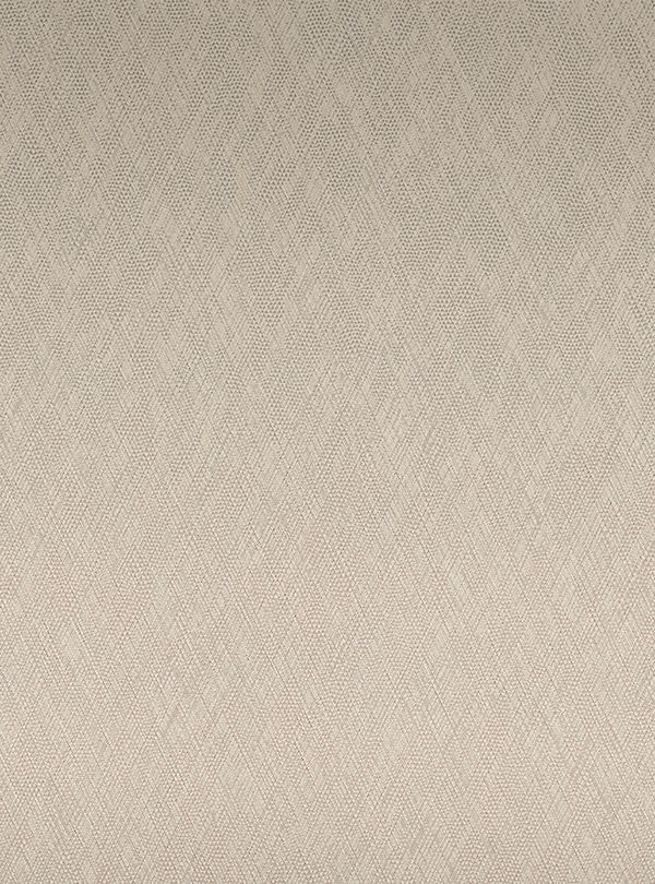 Champagne Frost (RM051) — Metal architectural film