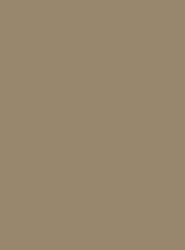 Portobello (S157) — Wood & Solid Colors architectural film