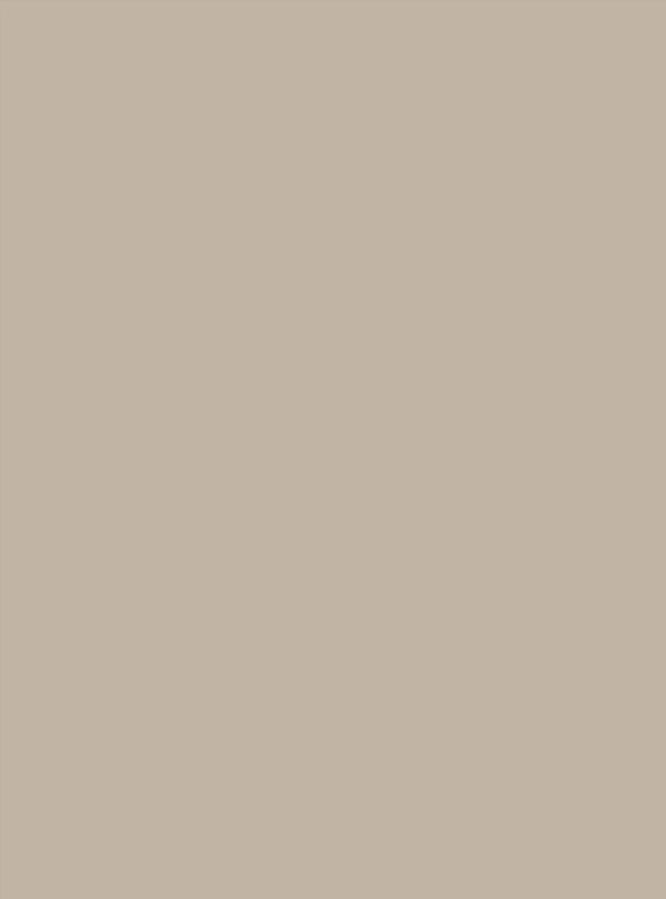 Warm Taupe (S181) — Wood & Solid Colors architectural film