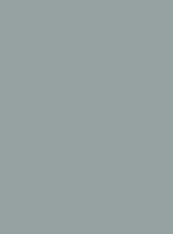 Pewter Blue (S195) — Wood & Solid Colors architectural film