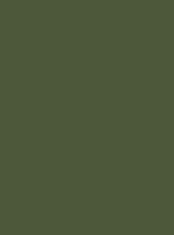 Mossy Glen (S202) — Wood & Solid Colors architectural film