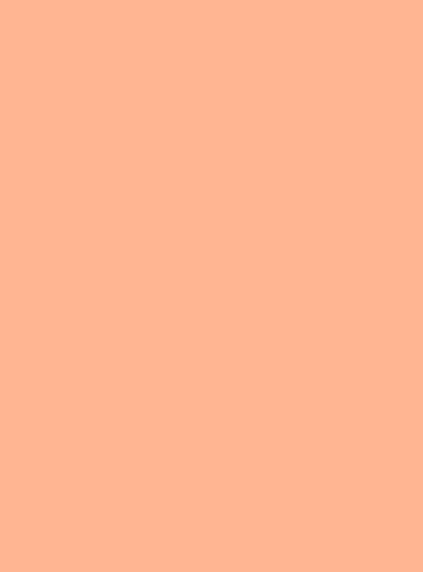 Peach Sorbet (S213) — Wood & Solid Colors architectural film