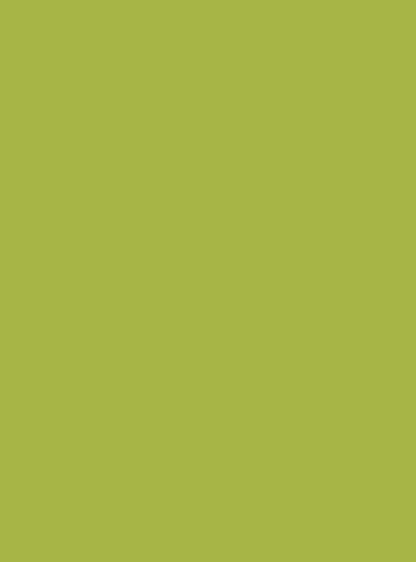 Fresh Grass (S219) — Wood & Solid Colors architectural film