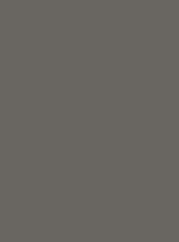 Lava Ash (S231) — Wood & Solid Colors architectural film