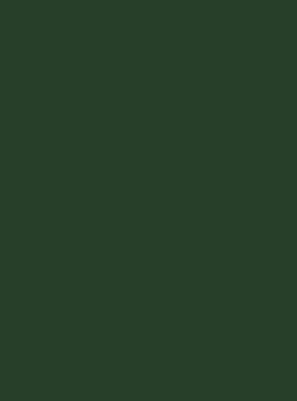 Evergreen Night (S233) — Wood & Solid Colors architectural film