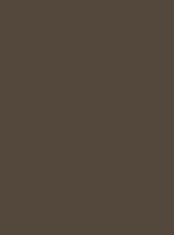 Black Coffee (S234) — Wood & Solid Colors architectural film