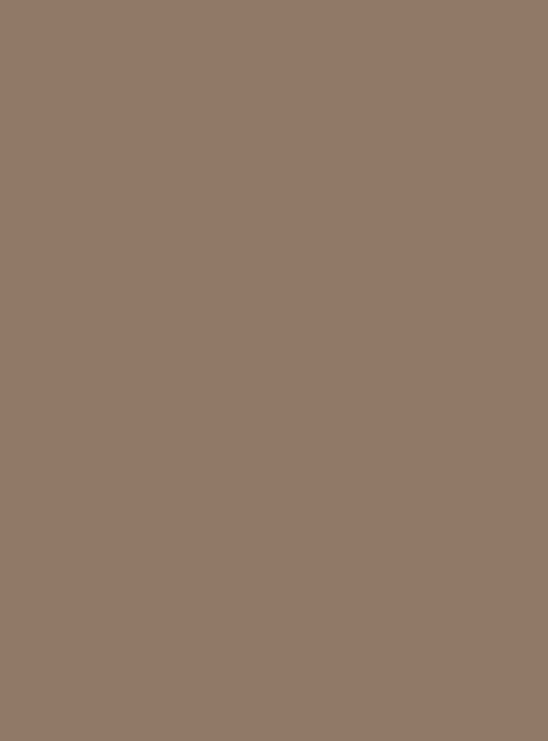 Cocoa Taupe (S247) — Wood & Solid Colors architectural film