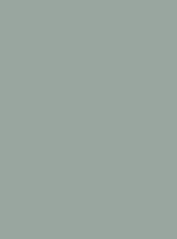 Sage Mist (S248) — Wood & Solid Colors architectural film