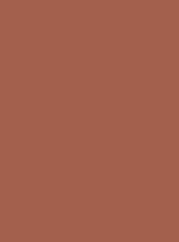 Clay Rose (S251) — Wood & Solid Colors architectural film