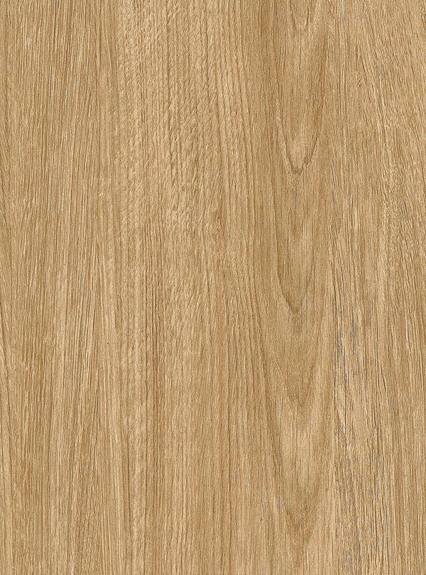 Cider Oak (SPW16) — Exclusive Wood architectural film