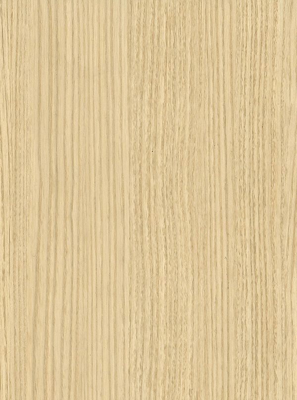 Pearl Elm (SPW66) — Exclusive Wood architectural film
