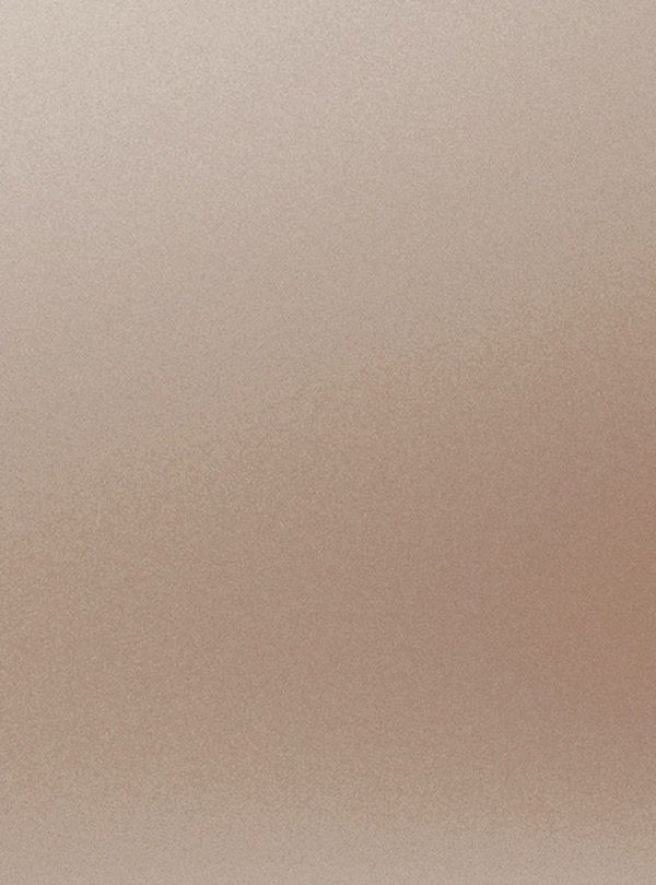 Satin Champagne (VM905) — Metal architectural film