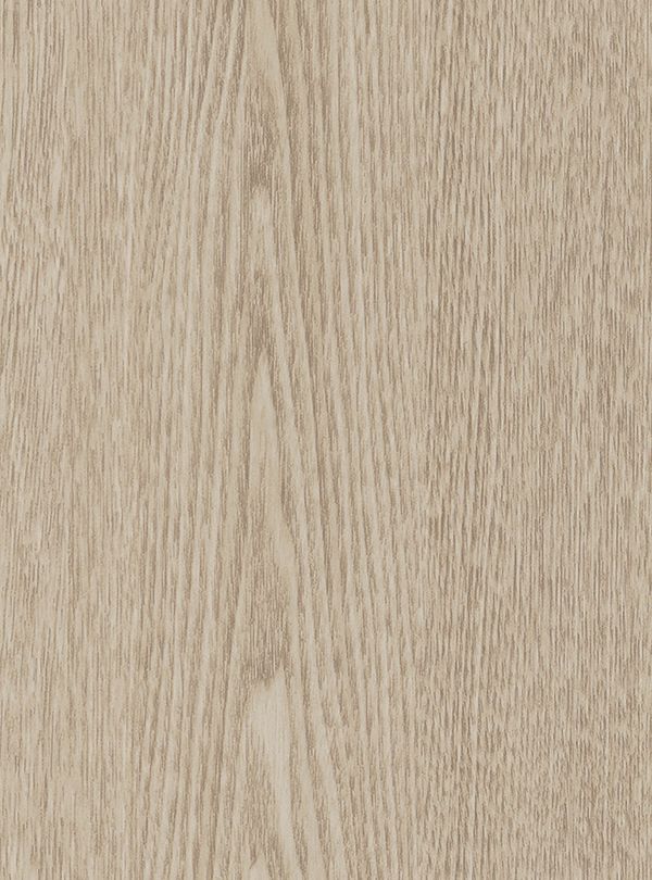 Meadow Ash (W196) — Wood & Solid Colors architectural film