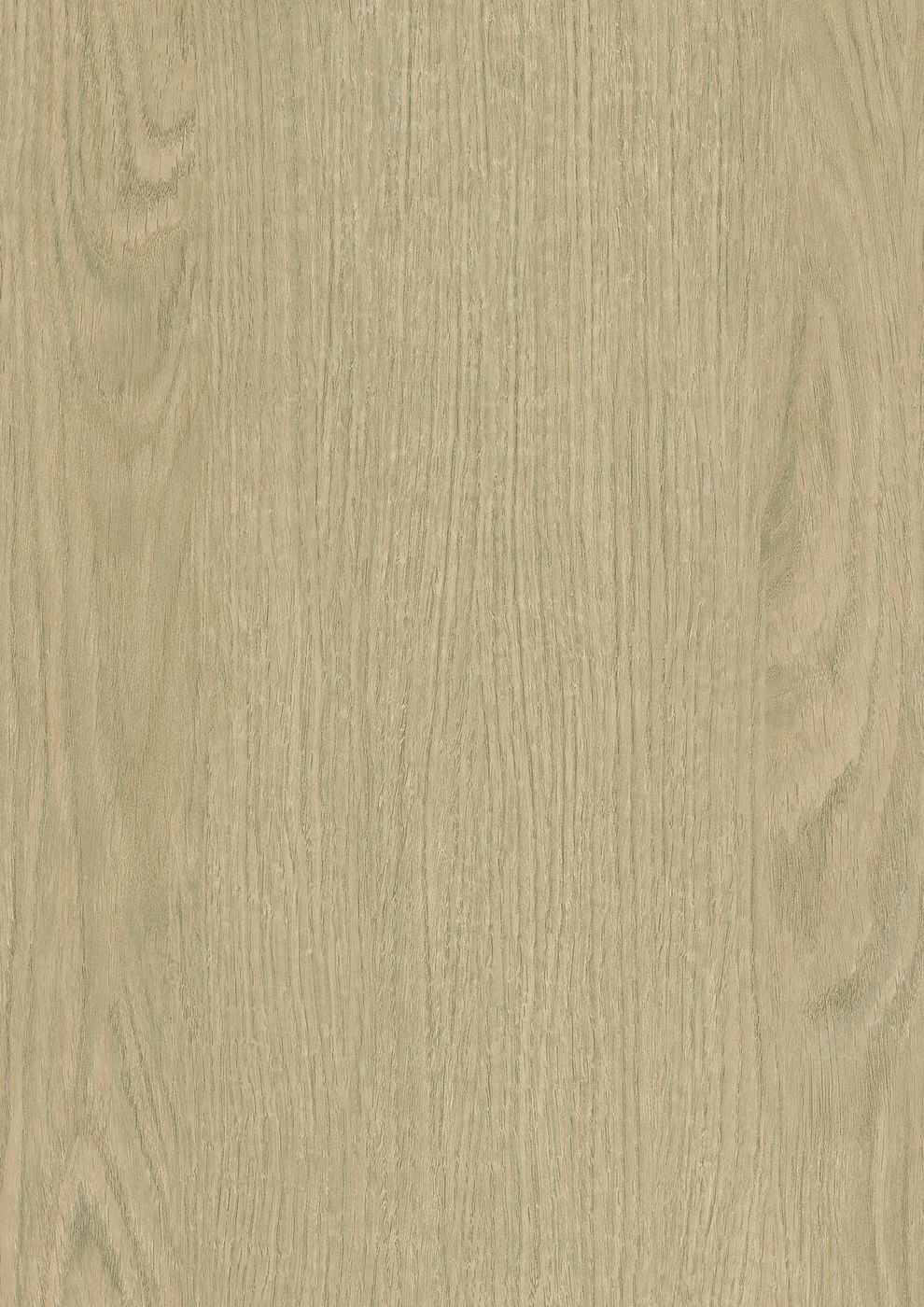 Salt Flat Oak (W402) — Wood & Solid Colors architectural film